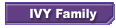 IVY Family